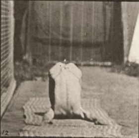Plate 511 Contortions on the ground. — figure reference